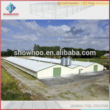 construcción de acero de bajo costo construcción de gallinero industrial diseño de granja para la venta